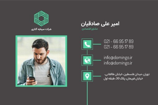 کارت ویزیت مشاور اقتصادی