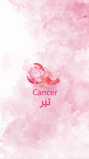 تیر
