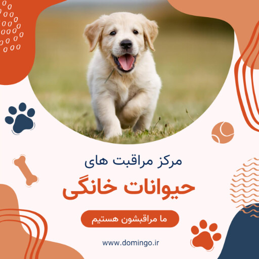 طرح من