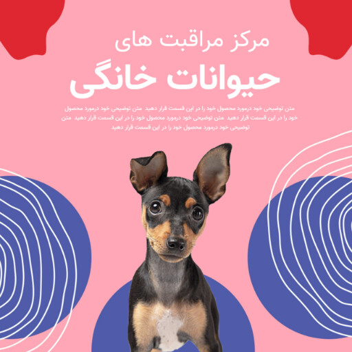 پانسیون پت