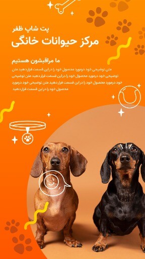 پت شاپ ظفر
