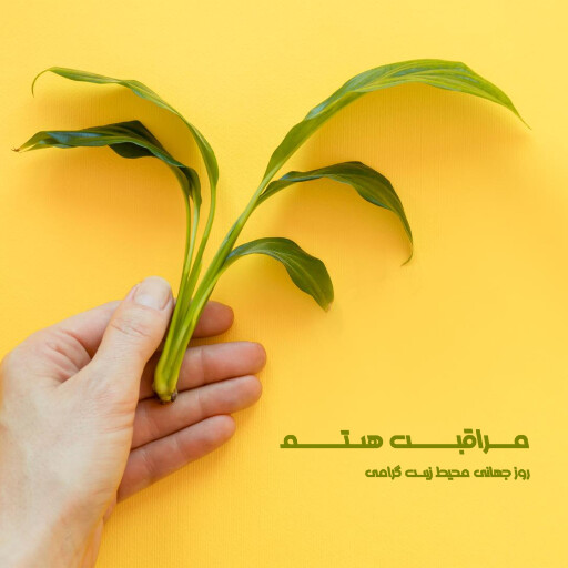 محیط زیست