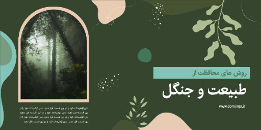 درخت ، جنگل ، طبیعت ، محیط زیست ، آموزش