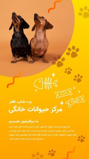 پت شاپ ظفر