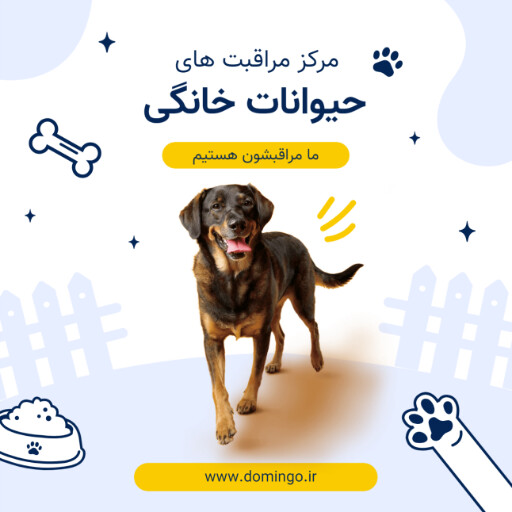 مرکز مراقبت های پت