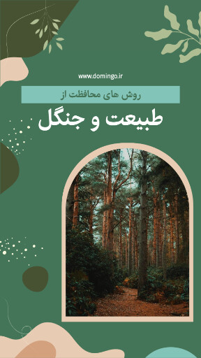 درخت ، جنگل ، طبیعت ، محیط زیست ، آموزش