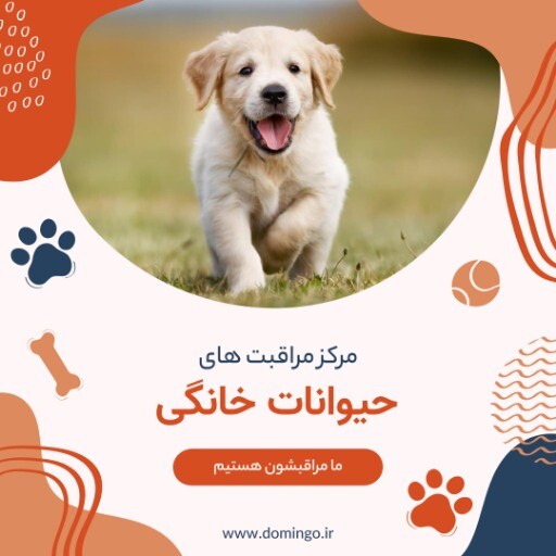 مرکز مراقبت های پت