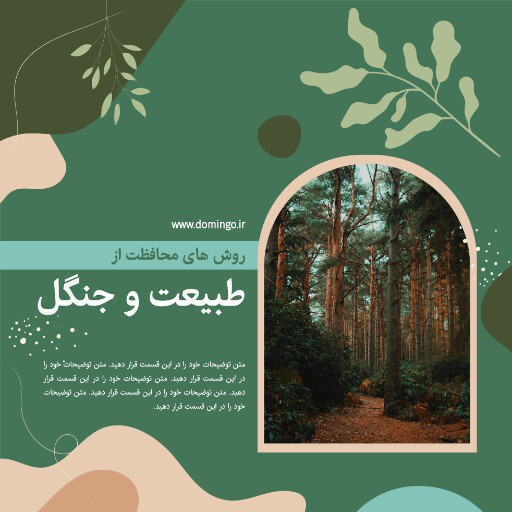 درخت ، جنگل ، طبیعت ، محیط زیست ، آموزش