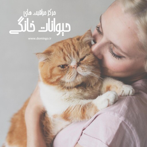 پت شاپ