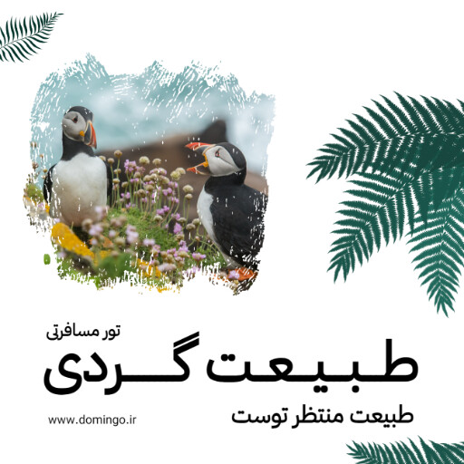 تور طبیعت گردی