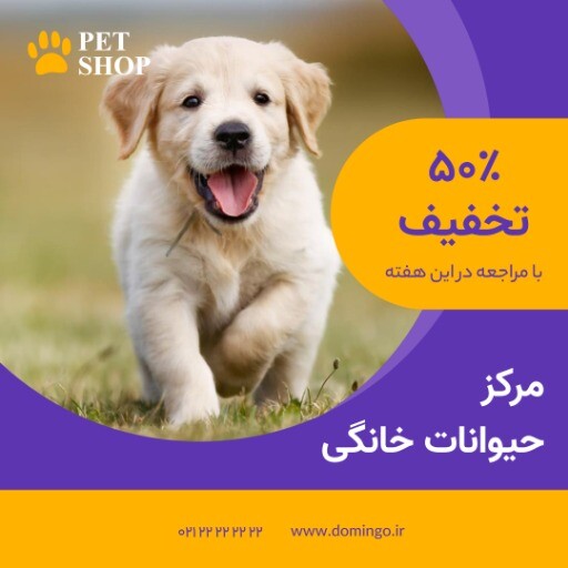 مرکز پت