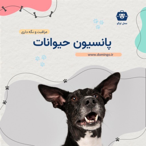 پانسیون حیوانات