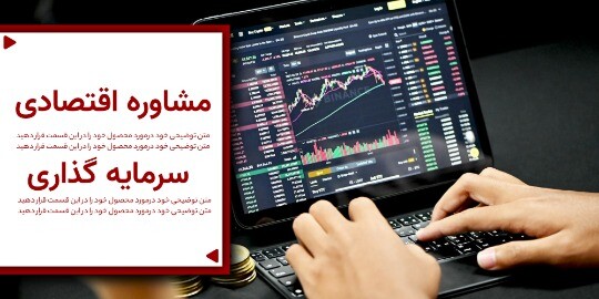 مشاور اقتصادی و سرمایه گذاری ۱