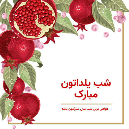 شب یلدا ۳۲۸۴۱-۰۲۱۳