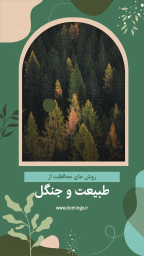 درخت ، جنگل ، طبیعت ، محیط زیست ، آموزش