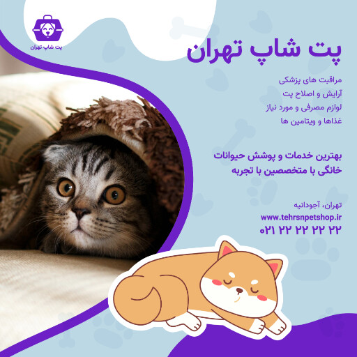 پت