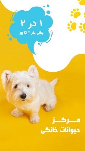 پت شاپ و تخفیف