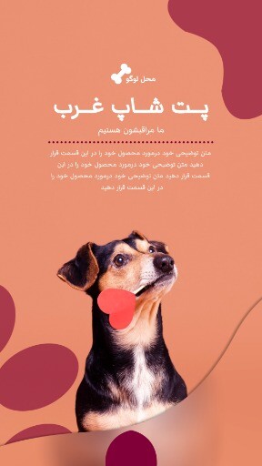 پت شاپ گربه و سگ