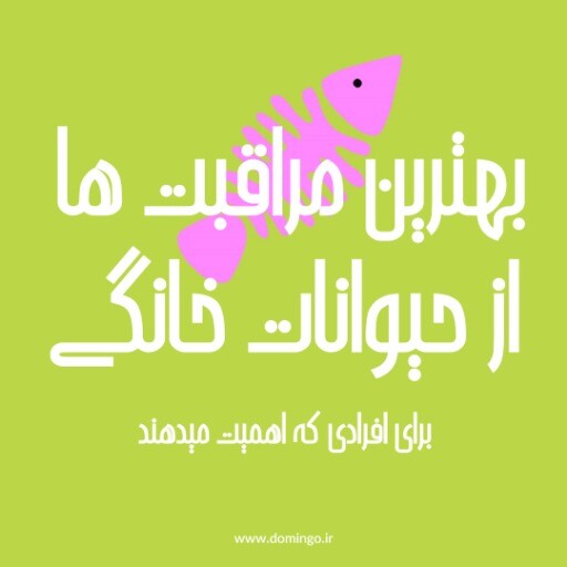 پت شاپ