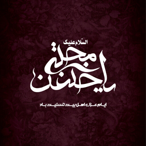 امام حسن