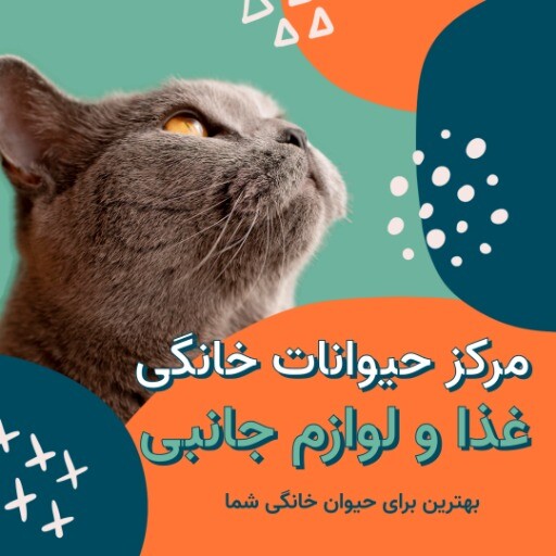 پت شاپ لوازم جانبی