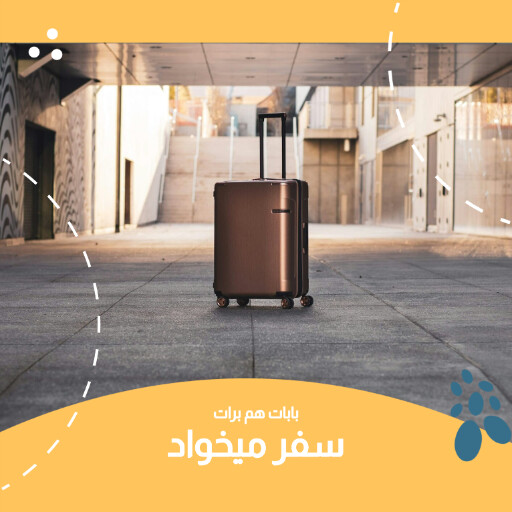 مسافرت . آژانس مسافرتی . چمدون