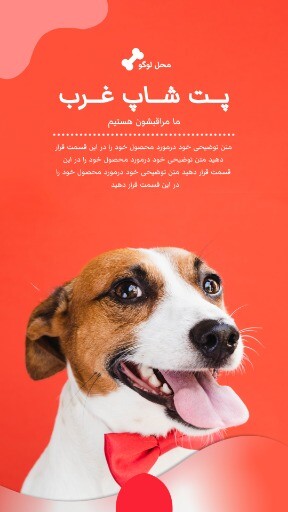 پت شاپ گربه و سگ