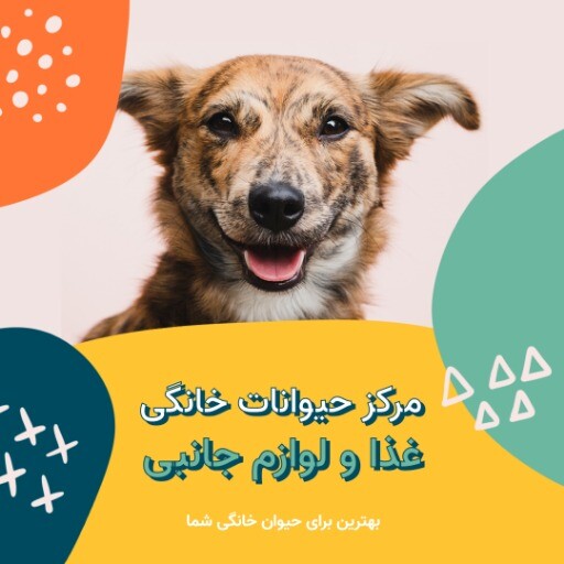 پت شاپ لوازم جانبی