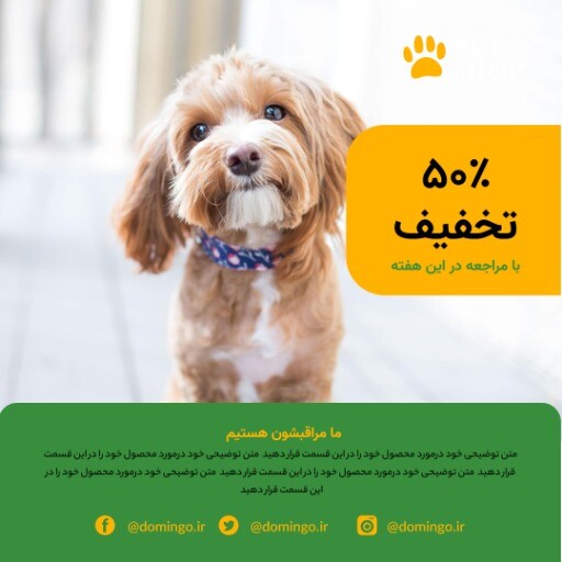 حیوانات خانگی