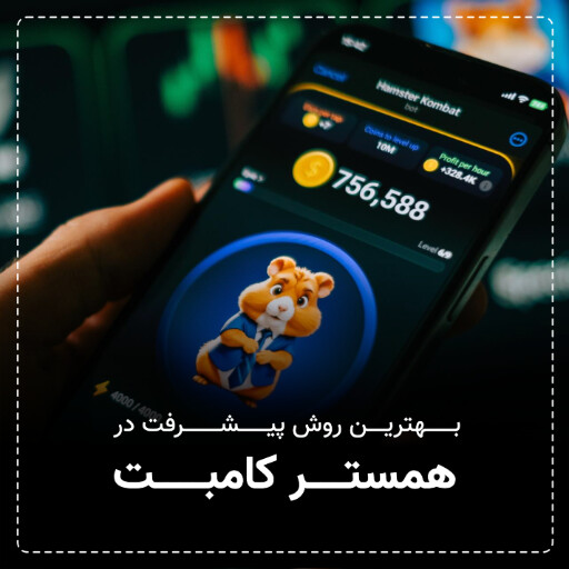 همستر گامبت