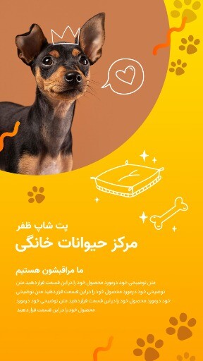پت شاپ ظفر