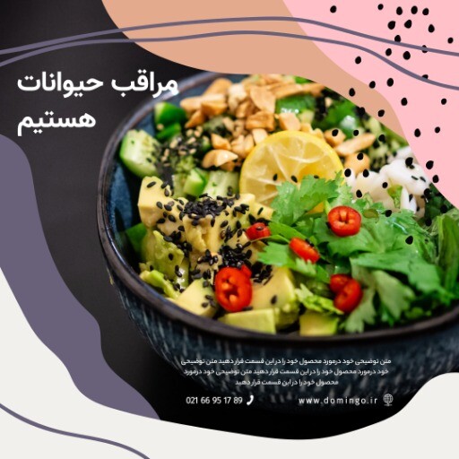 رستوران وجترین ها ۸۳۱۰۹۱۰۰۰۰۲۳۰۱۰۰۰۴