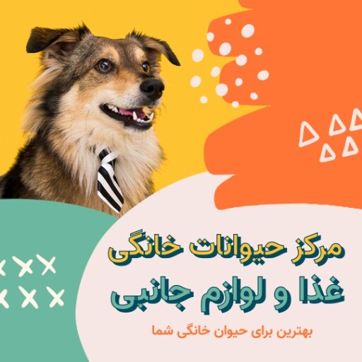 پت شاپ لوازم جانبی