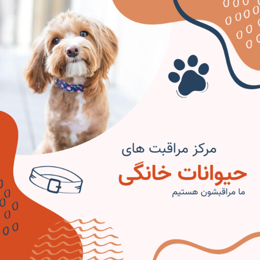 مرکز مراقبت های پت