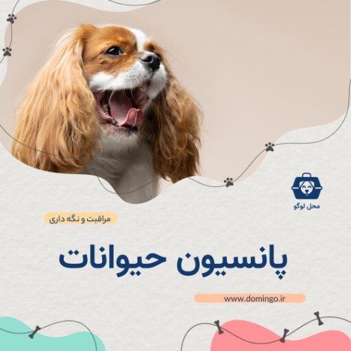 پانسیون حیوانات