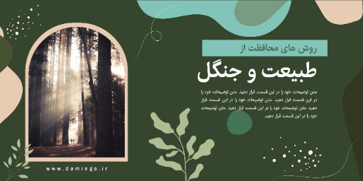 درخت ، جنگل ، طبیعت ، محیط زیست ، آموزش