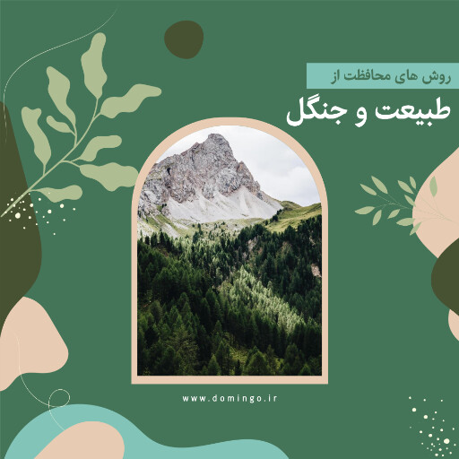 درخت ، جنگل ، طبیعت ، محیط زیست ، آموزش